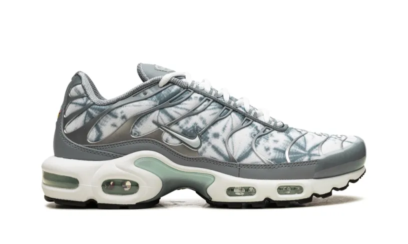 Nike Air Max Air Max Plus 'Waterway'